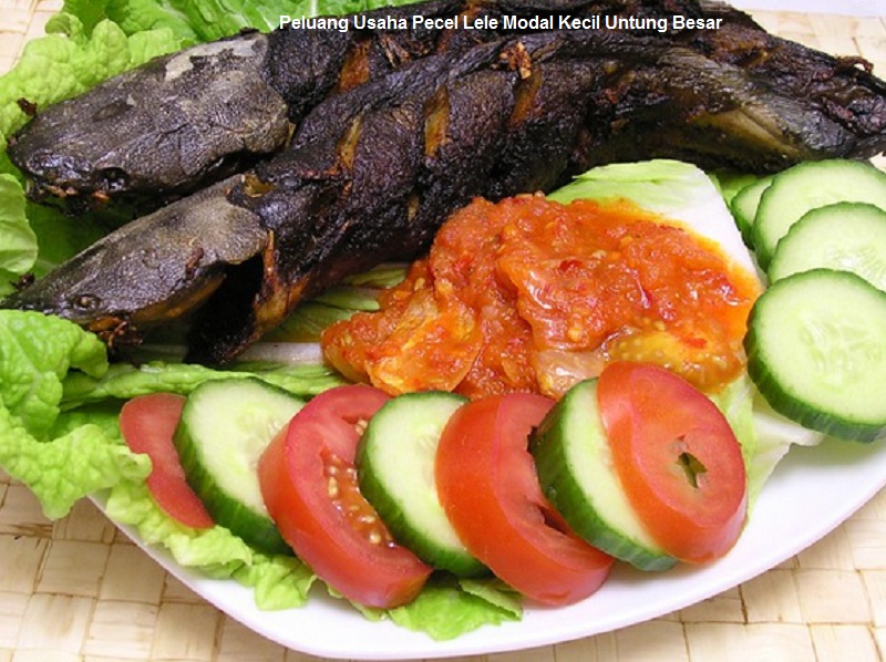 Peluang Usaha Pecel Lele Modal Kecil Untung Besar
